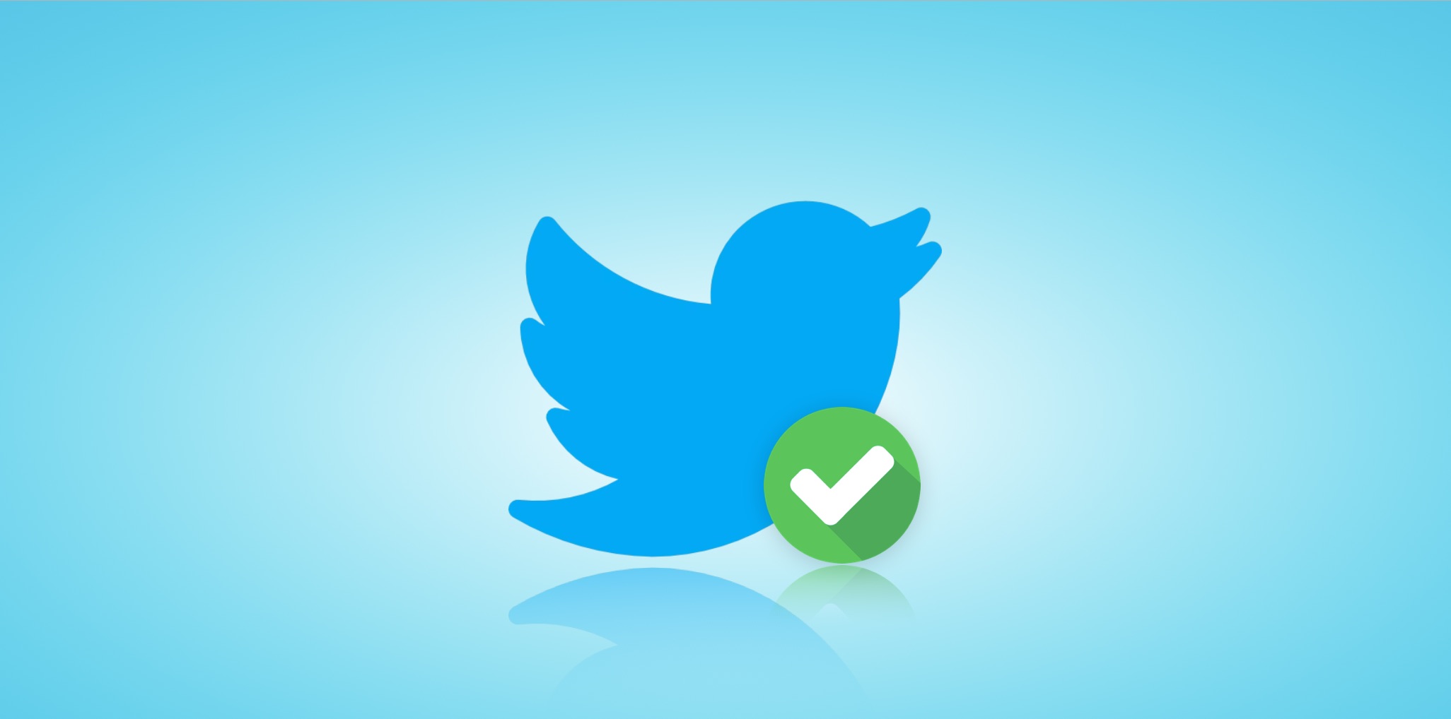 Twitter Video Downloader Guide for Fast and Easy Video Saving